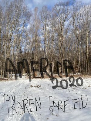 cover image of America 2020